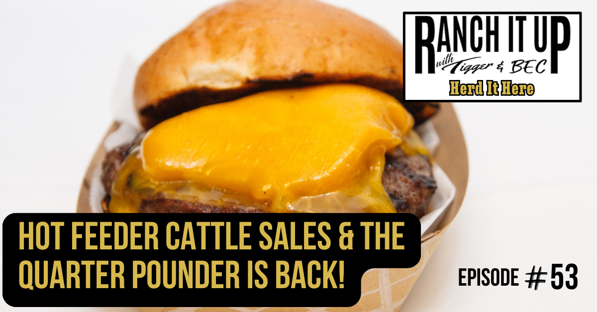 Hot Feeder Cattle Sales & The Quarter Pounder Is Back!