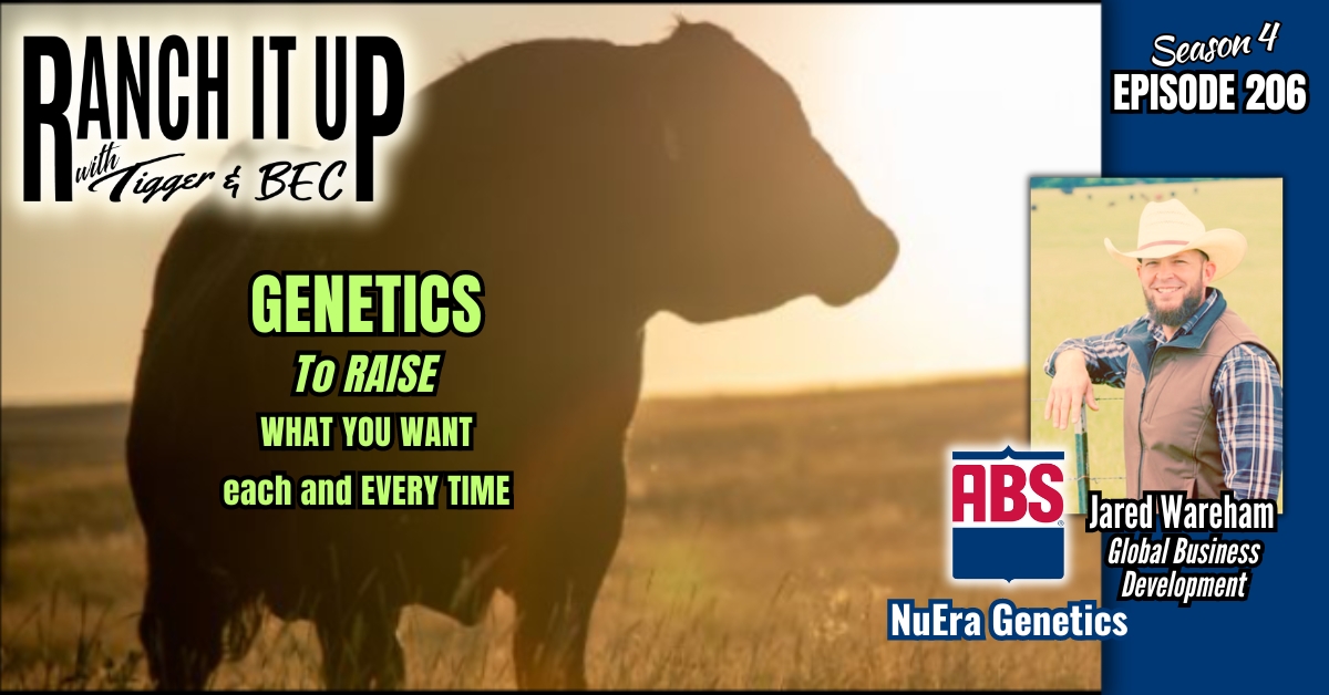 WEBSITE Ranch It Up Radio Show S4 E206 Cattle Genetics To Raise What You Want. Beef Industry News & Markets Jeff Erhardt Tigger Rebecca Wanner BEC. Jared Wareham ABS NuEra Genetics