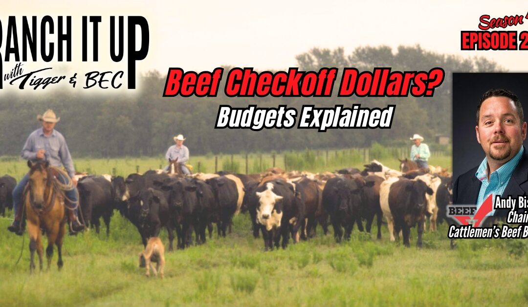 How Are Beef Checkoff Dollars Spent & Cattle News