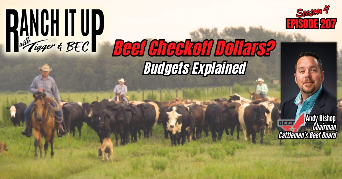 How Are Beef Checkoff Dollars Spent & Cattle News