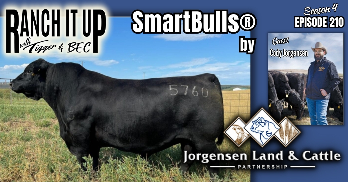 What Are SmartBulls® From Jorgensen Land & Cattle & Industry News