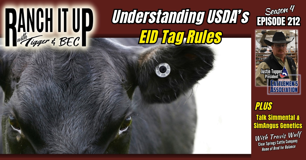 USDA ELECTRONIC ID TAGS EXPLAINED & TOP SIMMENTAL GENETICS