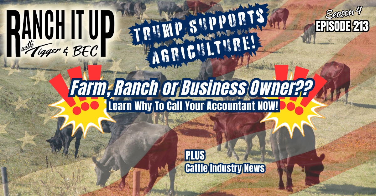 Top Headlines: Trump For Agriculture, Register Your Business Deadline & Cattle Industry News