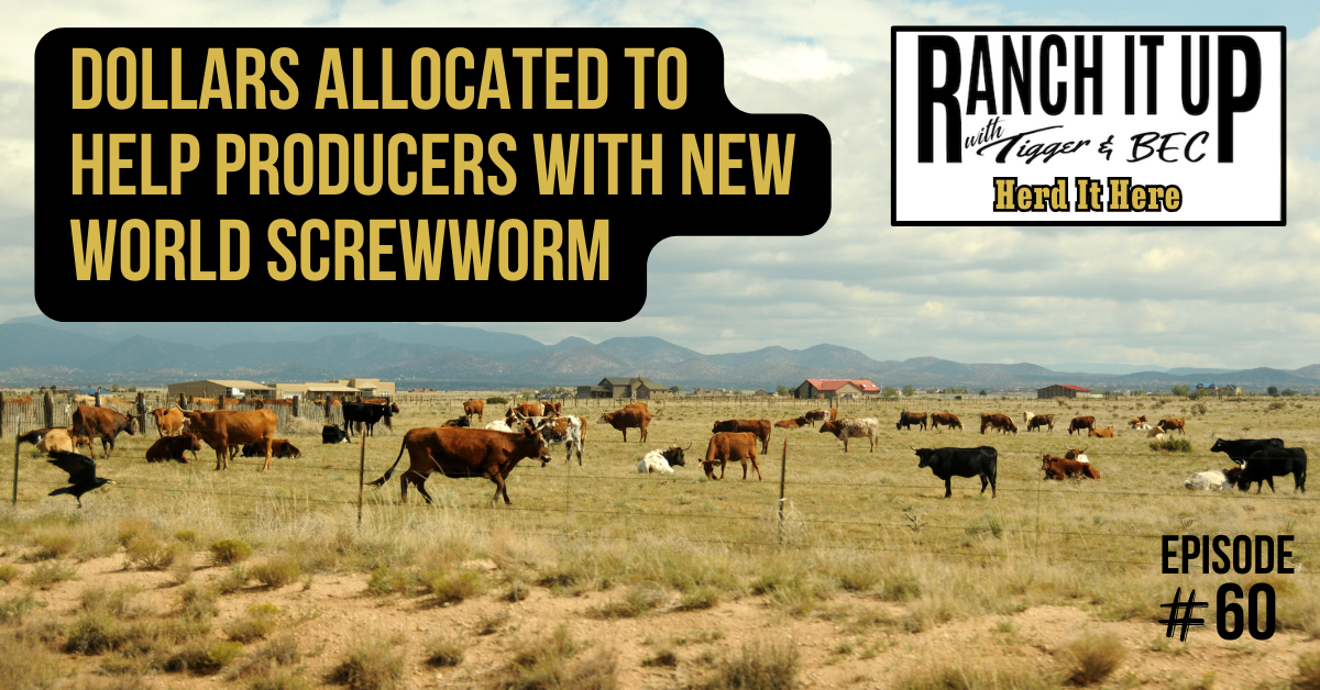 Dollars Allocated To Help Producers With New World Screwworm