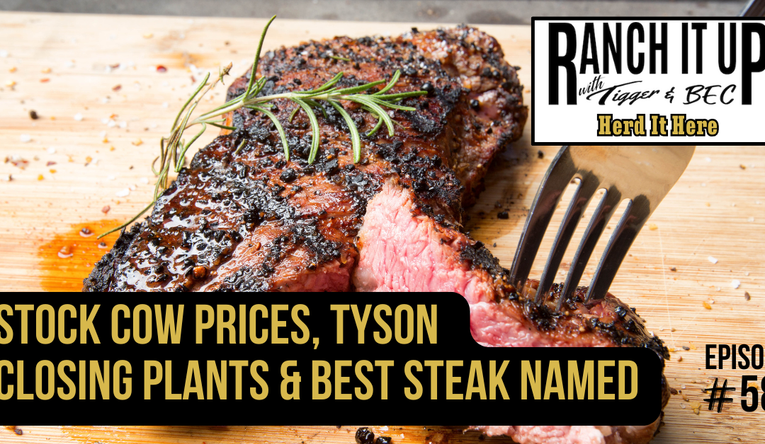 Stock Cow Prices, Tyson Closing Plants & Best Steak Named