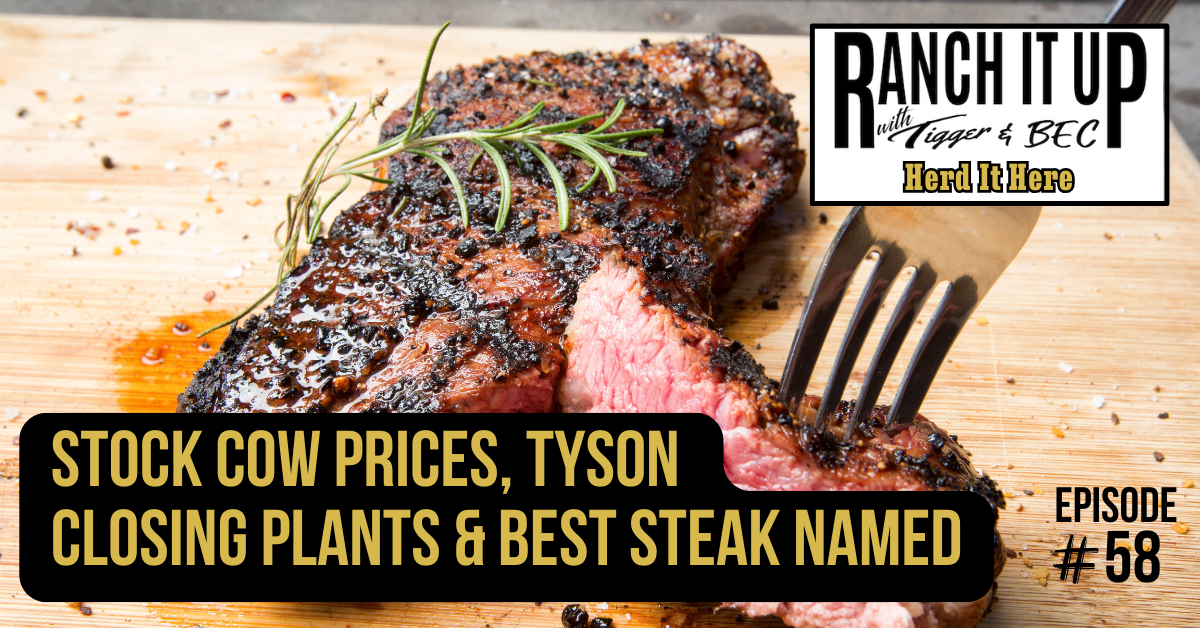 Stock Cow Prices, Tyson Closing Plants & Best Steak Named