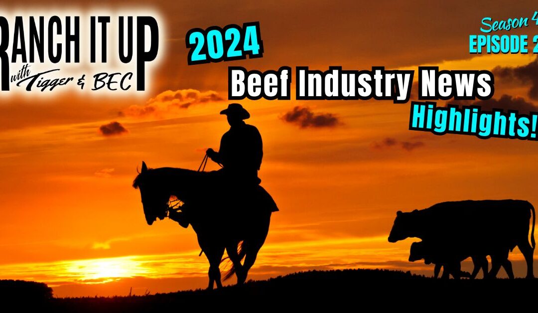  Highlights: 2024 Cattle Industry News