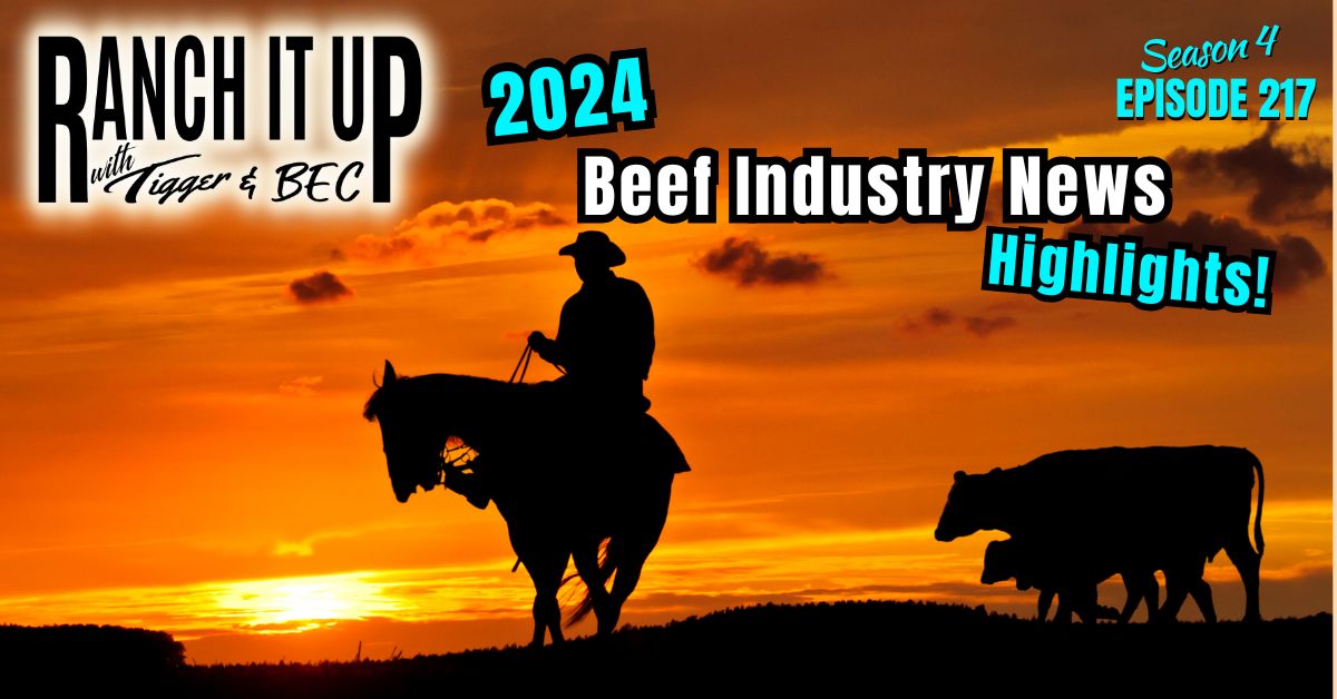  Highlights: 2024 Cattle Industry News