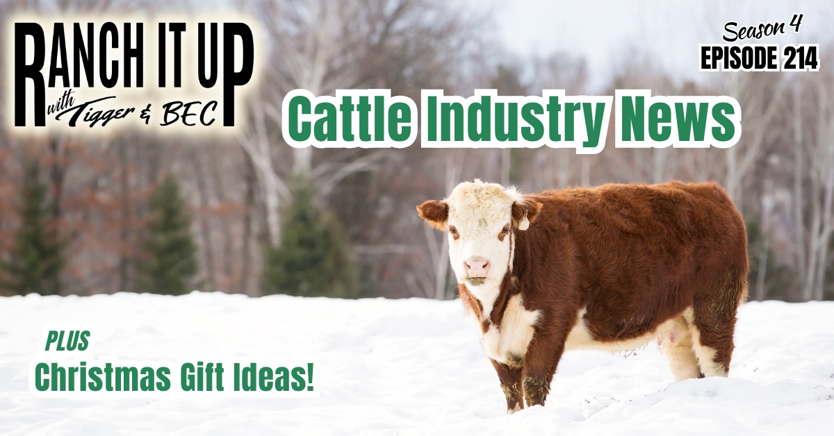 Cattle Industry Top News Headlines, Christmas Gift Ideas, Market Outlooks