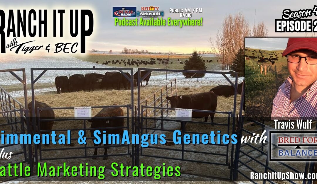 Bull Sale Season, Cattle Marketing Tips & Industry News