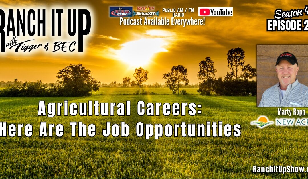 Agricultural Careers: Here Are Job Opportunities