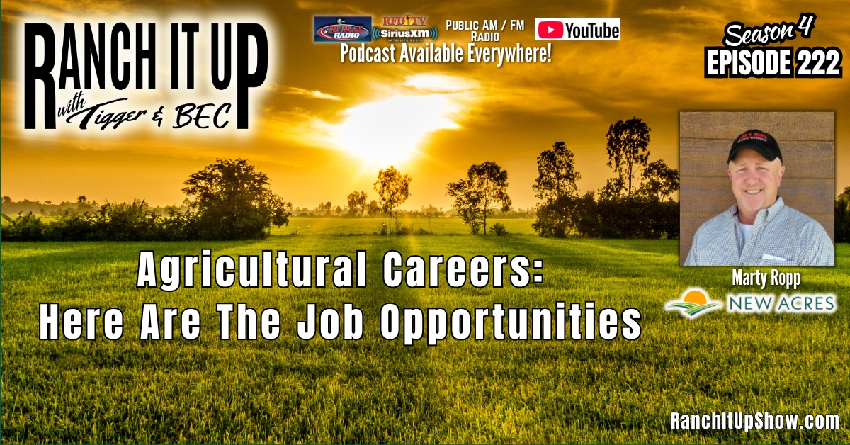 Agricultural Careers: Here Are Job Opportunities