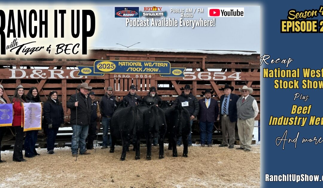 Recapping The National Western Stock show & Cattle Industry News