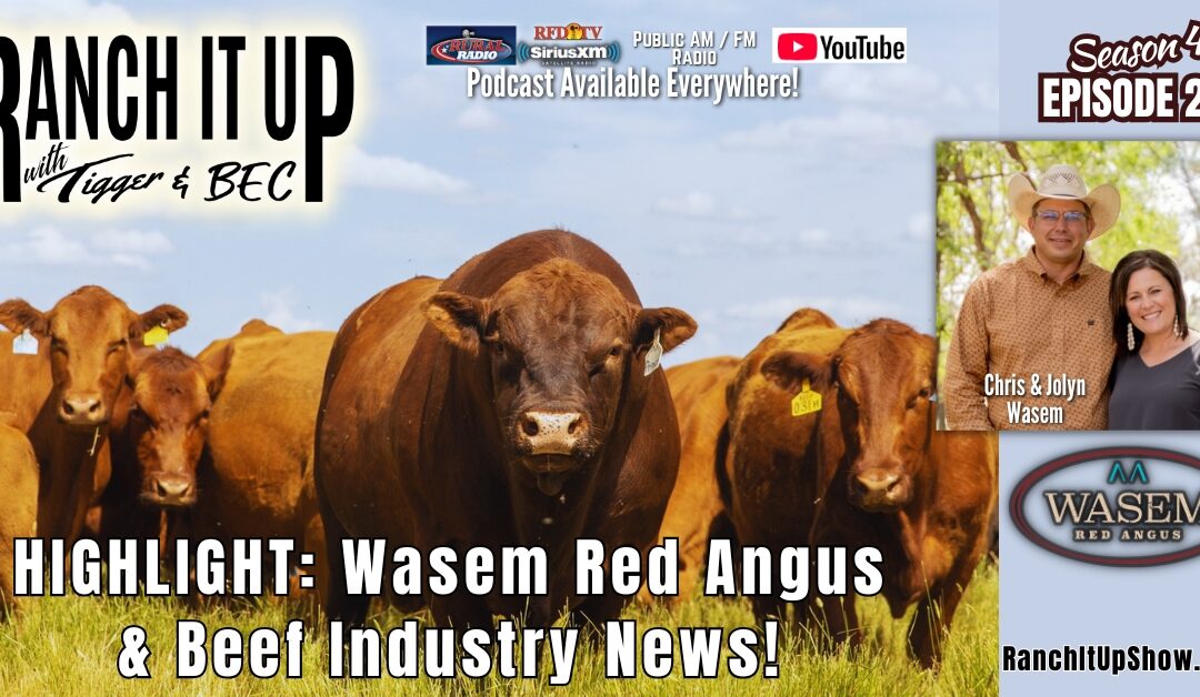 Highlight: Wasem Red Angus Cattle & Beef Industry News