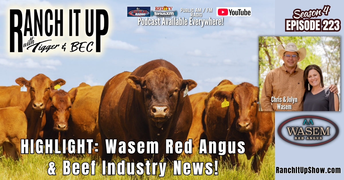 Highlight: Wasem Red Angus Cattle & Beef Industry News