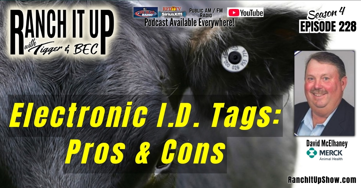 Electronic ID Tags Q & A & News and Tariff Updates