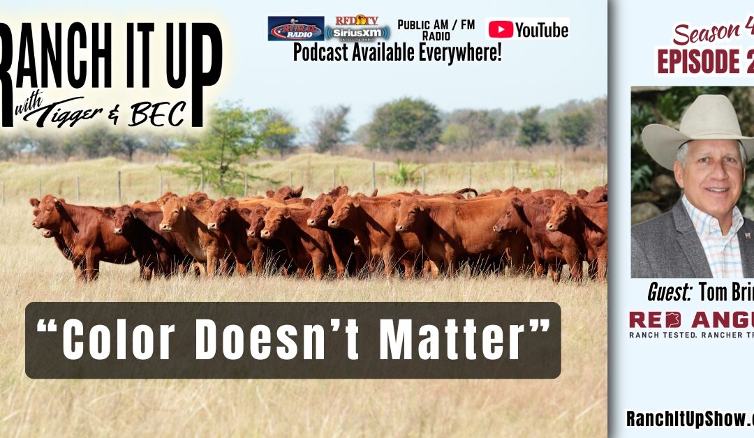 Sustainable Beef: A Processing Plant Where Color Doesn’t Matter