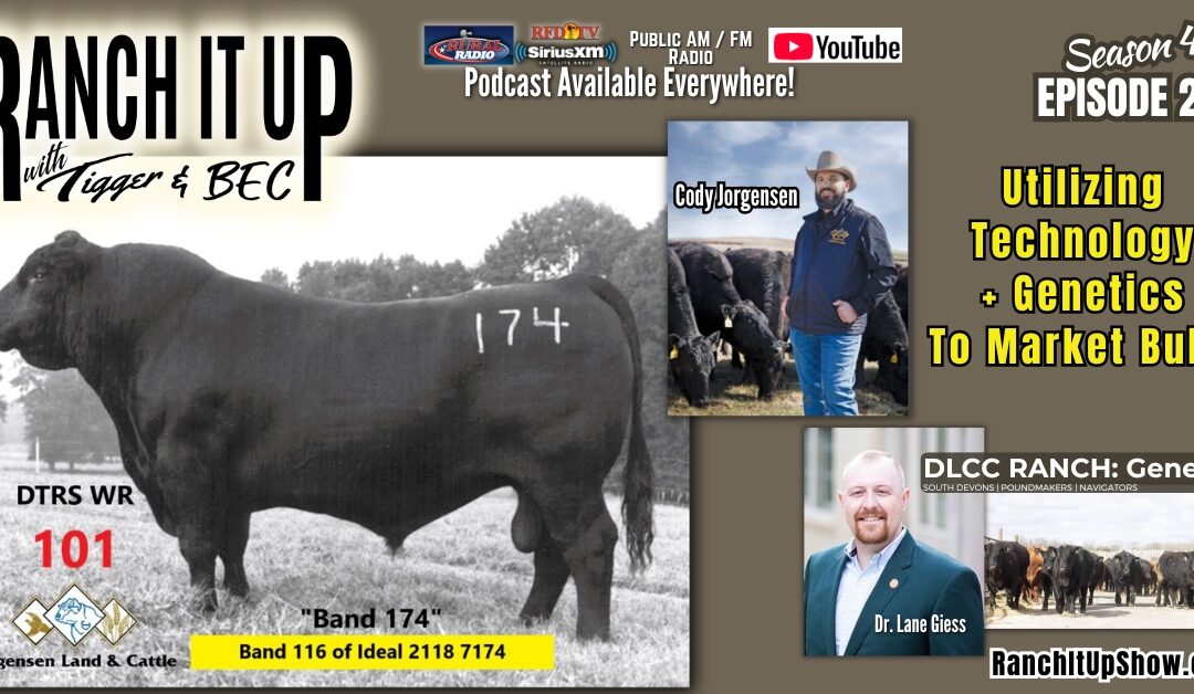 How To Utilize Technology & Genetics To Market Bulls