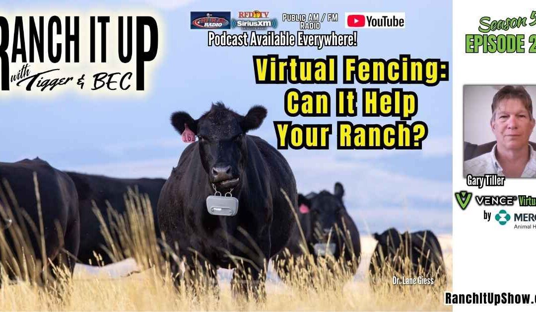 Virtual Fencing: Can It Work For Your Ranch