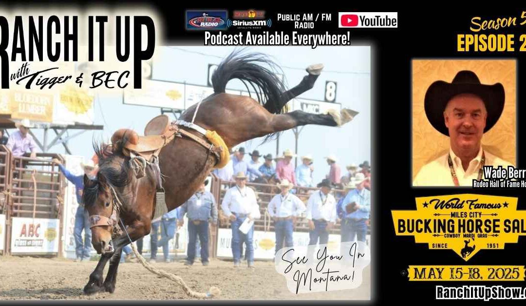 Cowboy & Rodeo Tradition: Miles City Bucking Horse Sale