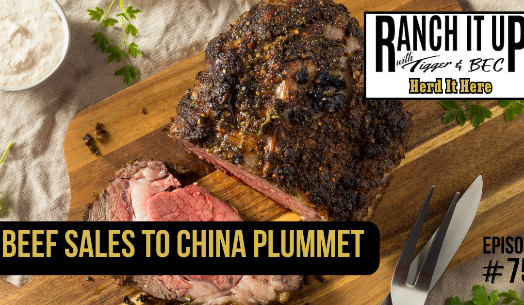Beef Sales To China Plummet