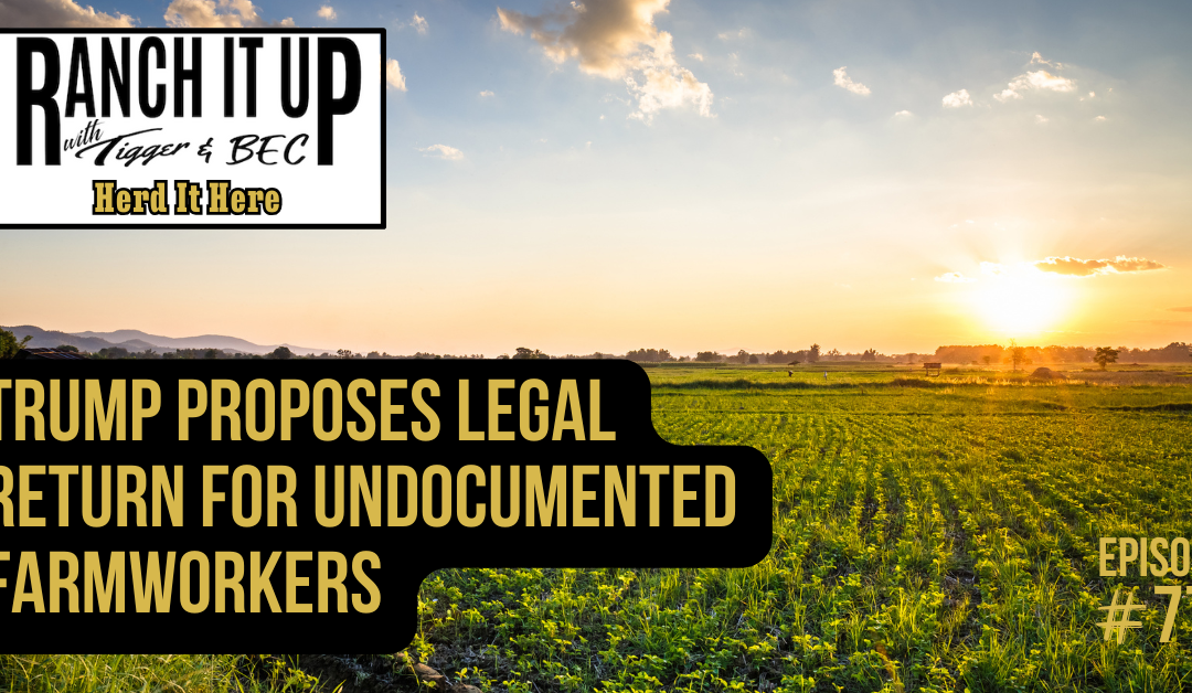 Trump Proposes Legal Return For Undocumented Farmworkers