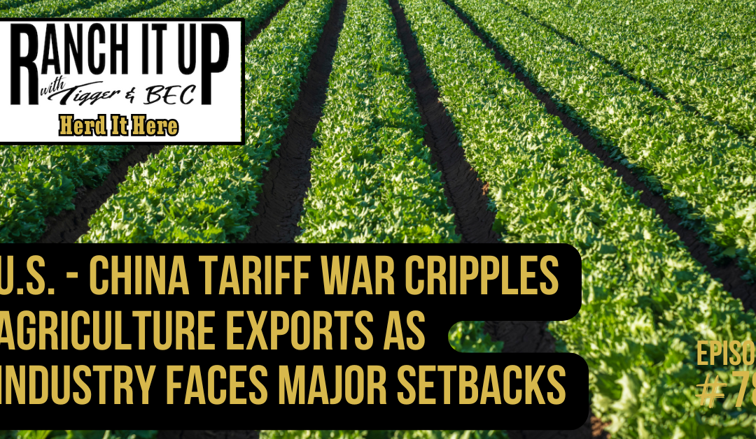 U.S. – China Tariff War Cripples Agriculture Exports As Industry Faces Major Setbacks