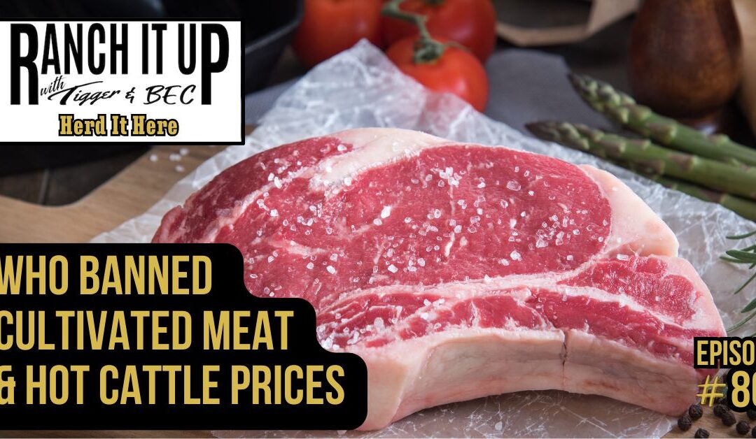 Who Banned Cultivated Meat & Hot Cattle Prices