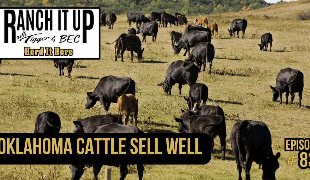 Oklahoma Cattle Sell Well