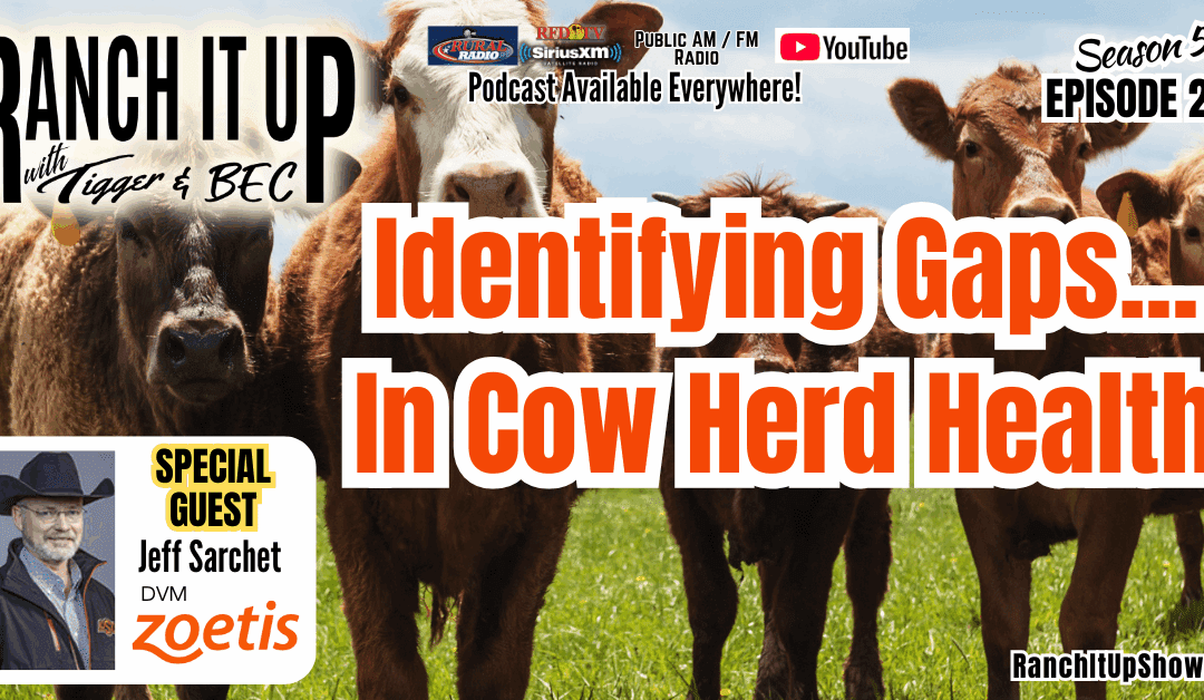 Is Your Cowherd Vaccination Program Missing The Mark?