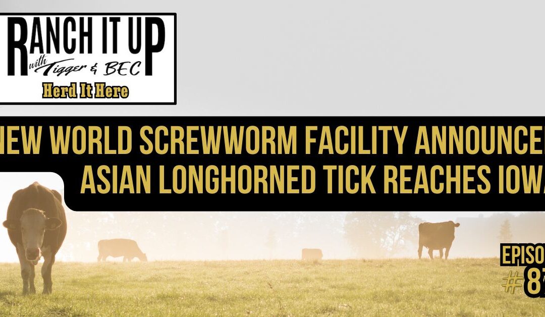 New World Screwworm Facility Announced as Asian Longhorned Tick Reaches Iowa