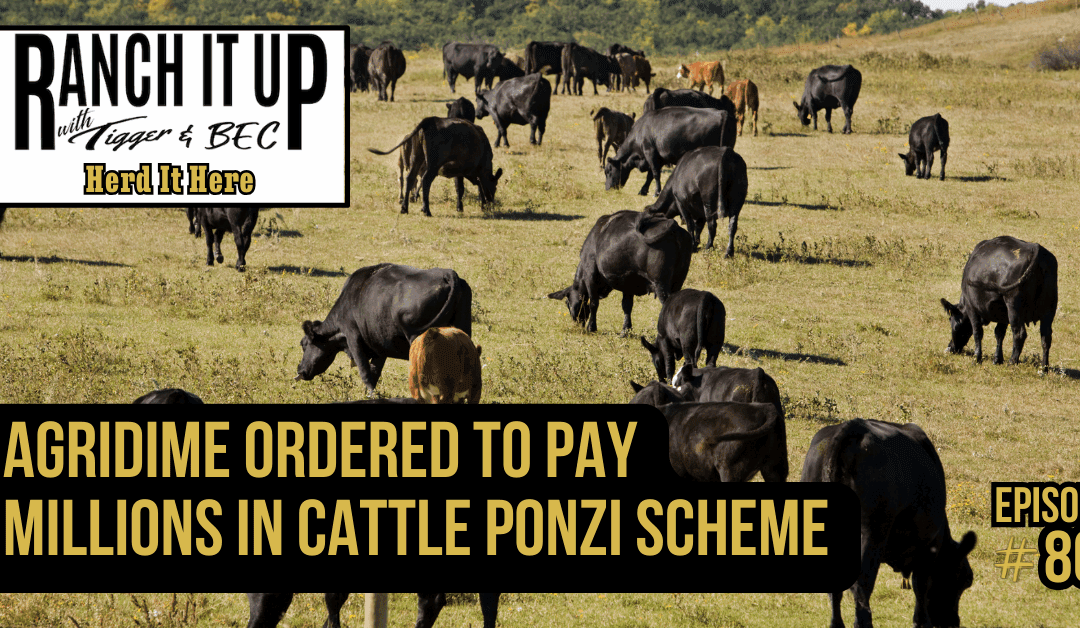 Agridime Ordered To Pay Millions In Cattle Ponzi Scheme
