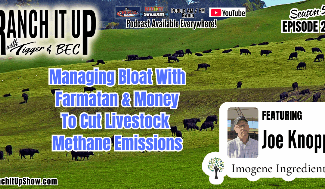 How To Manage Bloat & Grant Dollars To Livestock Methane Emissions