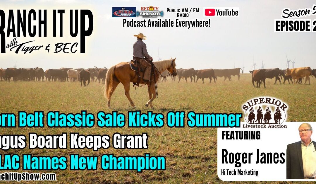 Corn Belt Classic Kicks Off Summer Sales, Angus Board Keeps Grant, WLAC Names New Champion