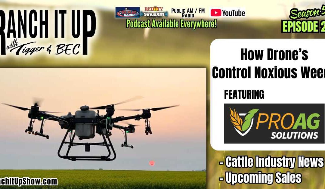 How Drones Control Noxious Weeds & Cattle News