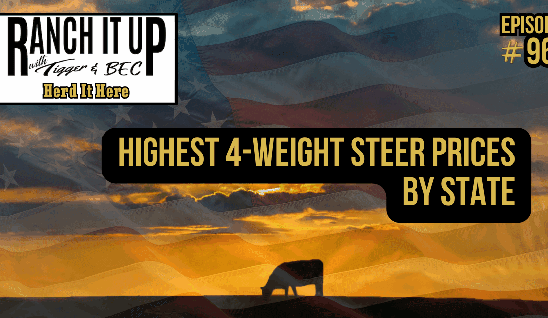Highest 400 LB Steer Prices By State