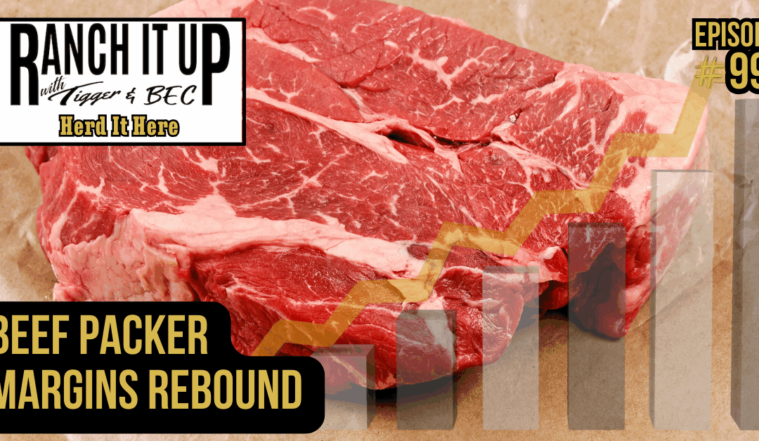 Beef Packer Margins Rebound