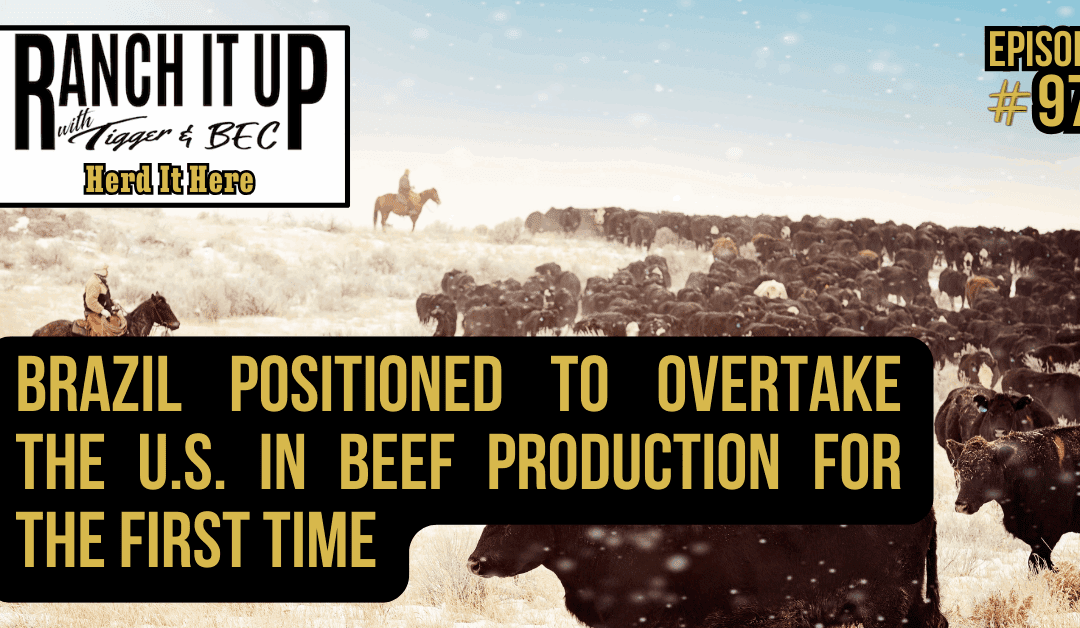 Brazil Positioned To Overtake The U.S. In Beef Production For The First Time