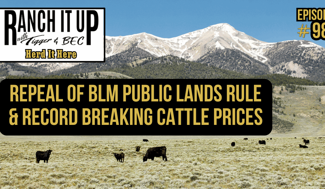 Repeal Of BLM Public Lands Rule & Record Breaking Cattle Prices