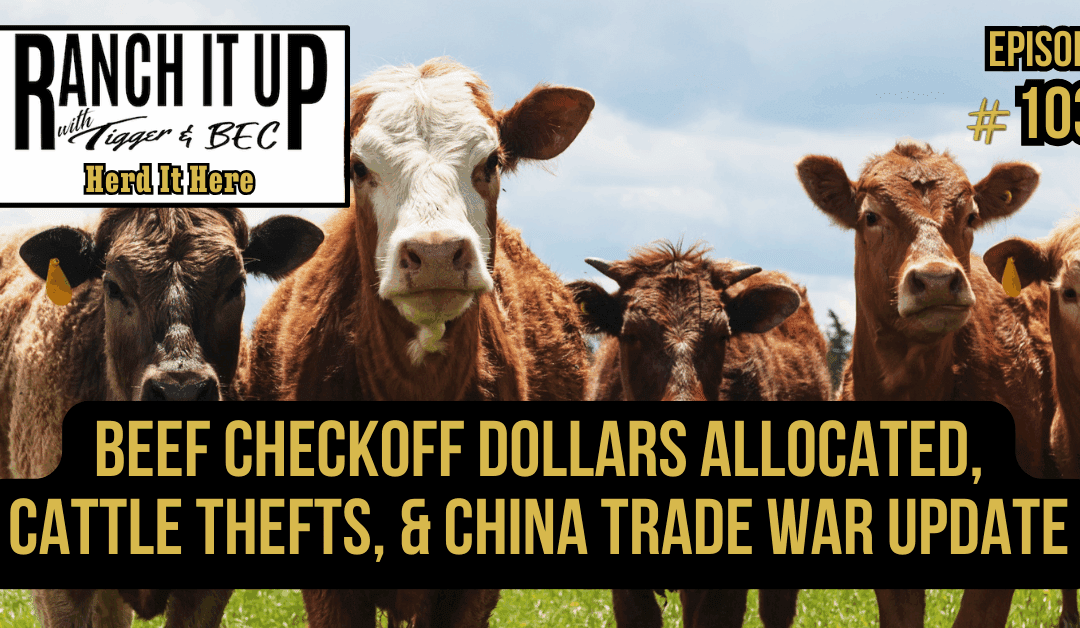 Beef Checkoff Dollars Allocated, Cattle Thefts, & China Trade War Update