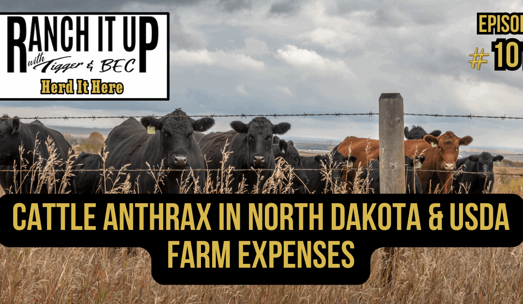 Cattle Anthrax In North Dakota & USDA Farm Expenses