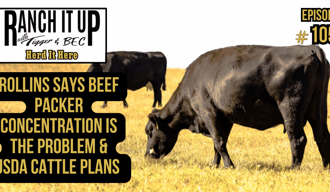 Rollins Says Beef Packer Concentration Is The Problem & USDA Cattle Plans 