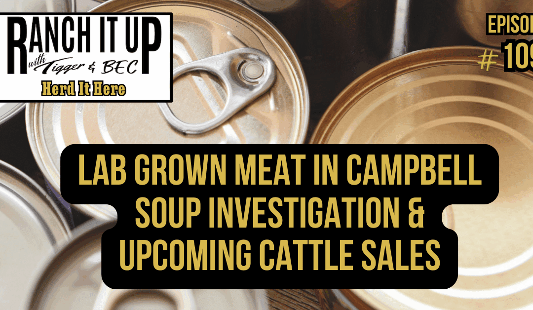 Lab Grown Meat In Campbell Soup Investigation & Upcoming Cattle Sales
