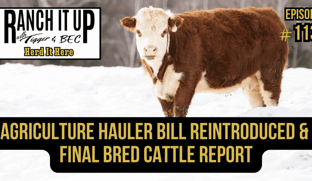 Agriculture Hauler Bill Reintroduced & Final Bred Cattle Report
