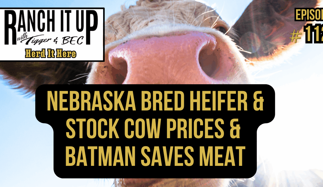 Nebraska Bred Heifer & Stock Cow Prices & Bat Man Saves Meat