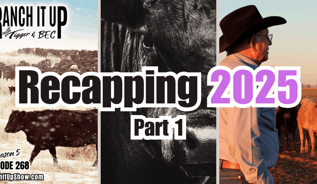 Ranching Headlines Of 2025: Part 1
