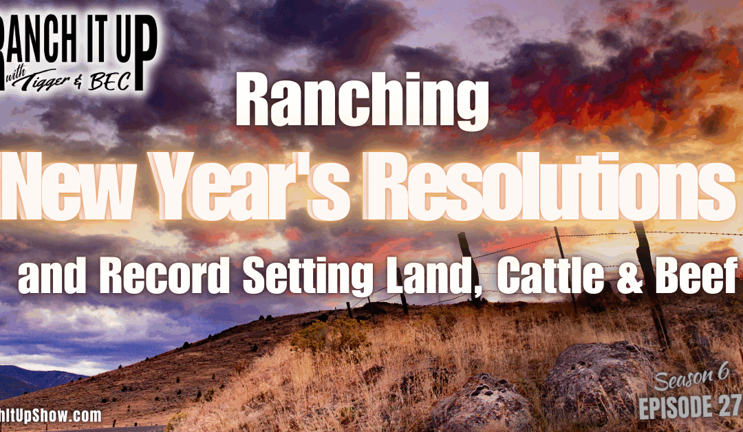 Ranching Resolutions And Record Land, Cattle, & Beef Prices