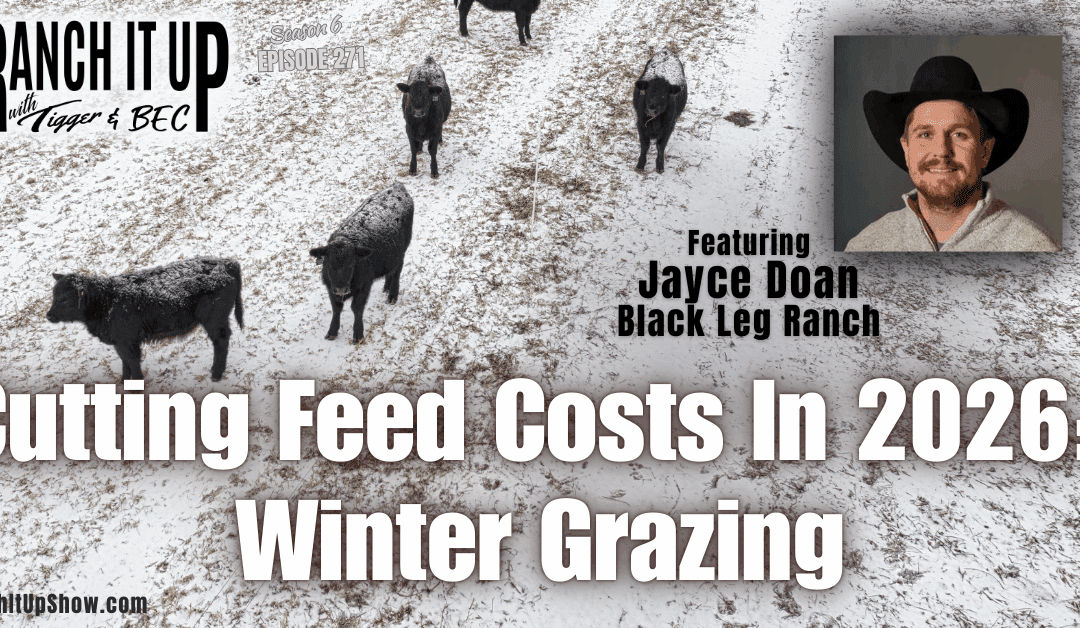 Cutting Feed Costs In 2026 With Winter Grazing, Cattle News, And Bull Sales
