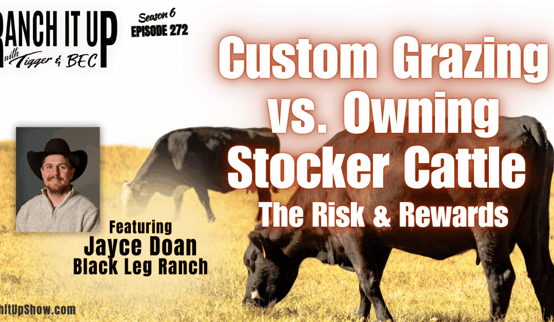 Custom Grazing Vs. Owning Stocker Cattle. The Risk & Reward