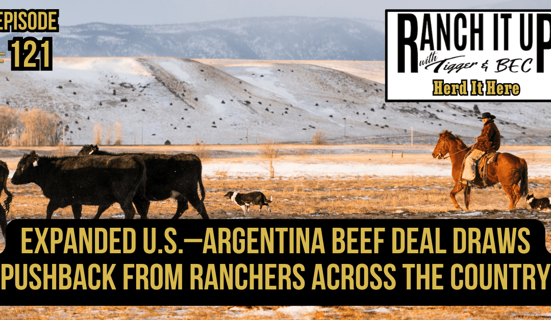 Expanded U.S.–Argentina Beef Deal Draws Pushback from Ranchers Across the Country